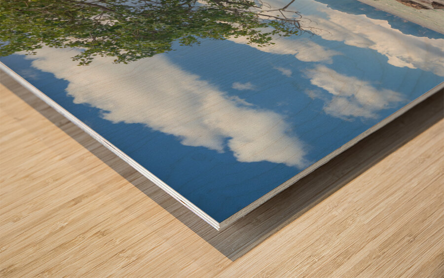 ko phi phi island view Impression sur bois