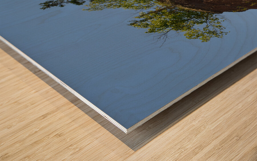 Hopewell Rock head silhouette Wood print