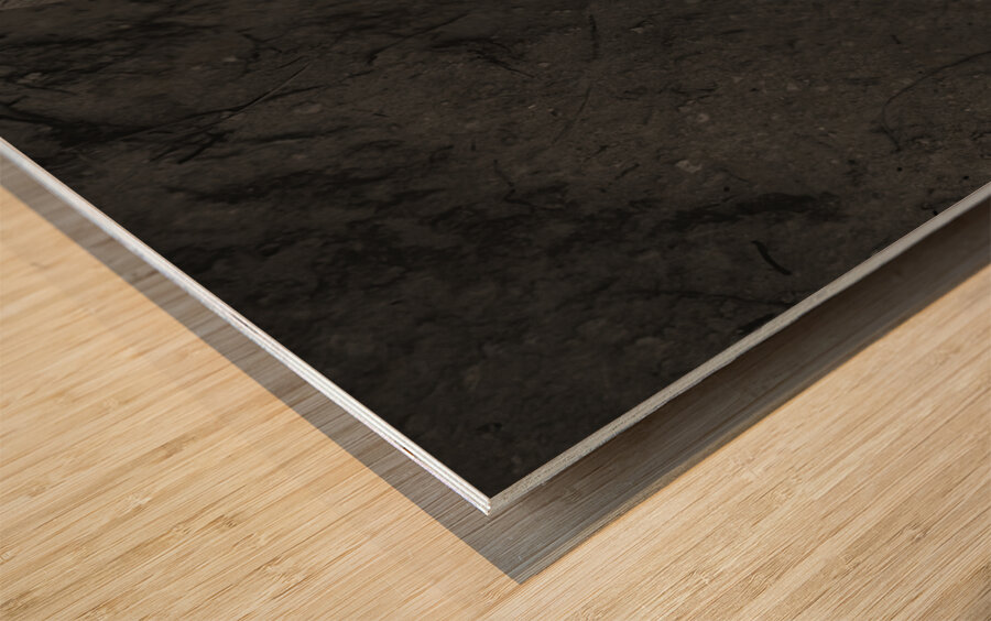 Gecko Anole on boardwalk in BW Wood print