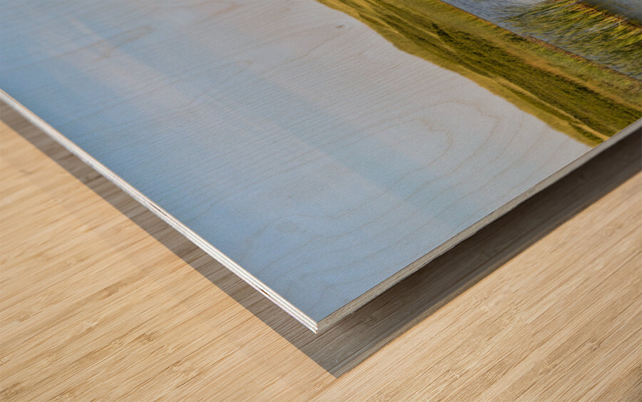 Greenwich grass dune on sky background Wood print