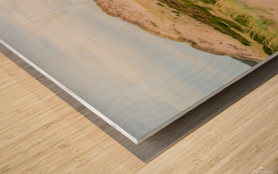 Greenwich dunes and wetlands Wood print