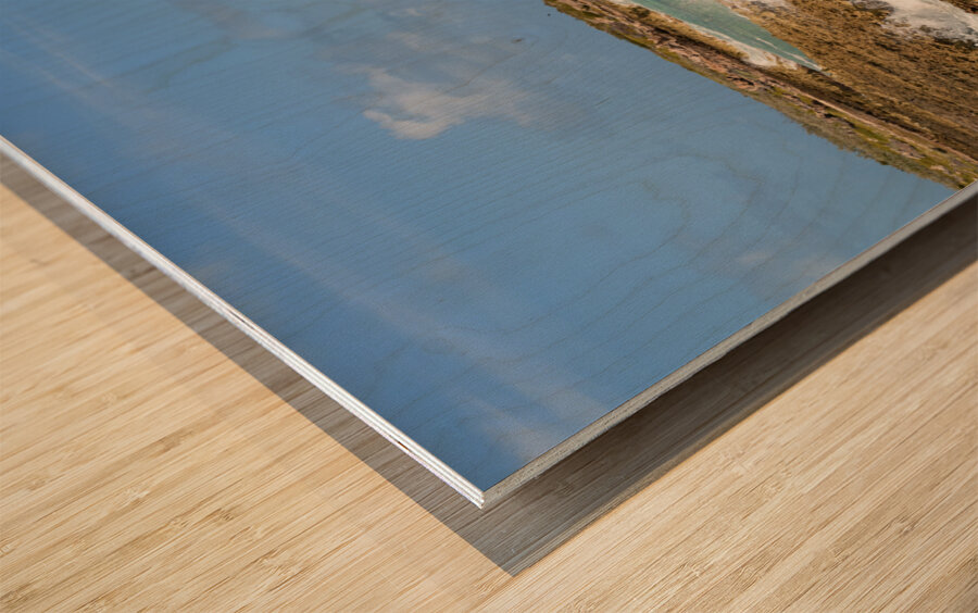 Cuban coral shore ocean view Wood print