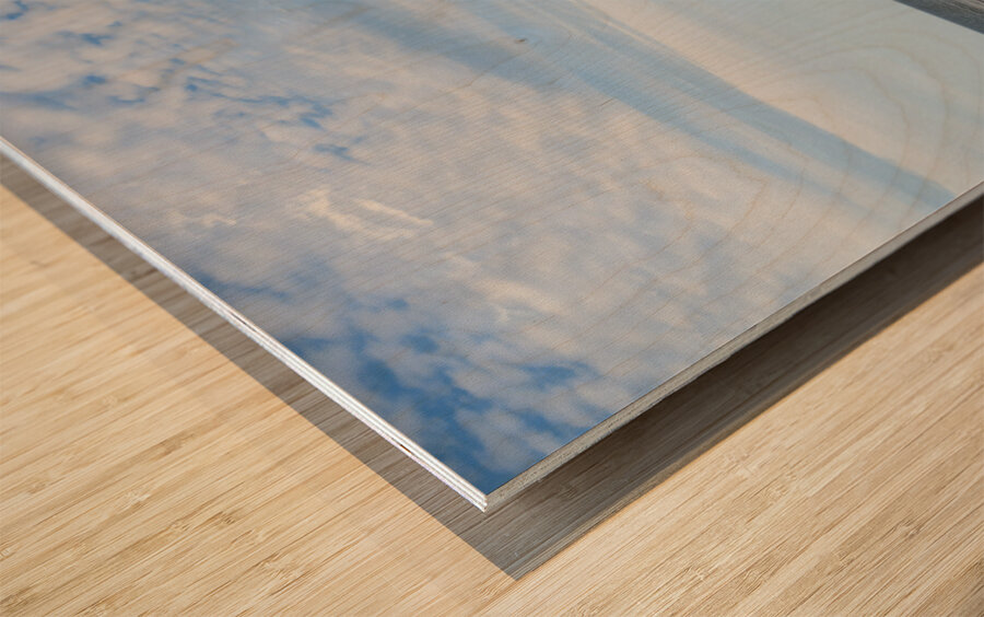 Greenwich driftwood art 3 Wood print