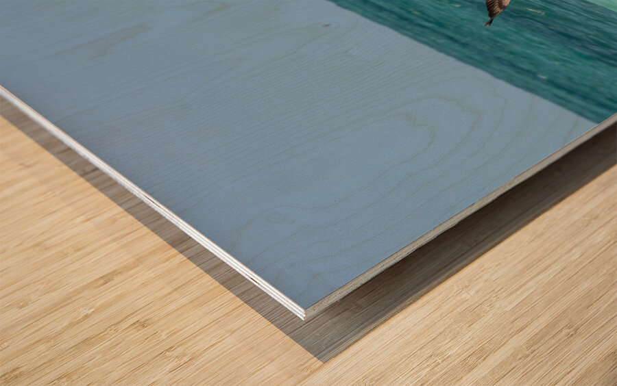 Pelican Cuban 4 Cuba Wood print