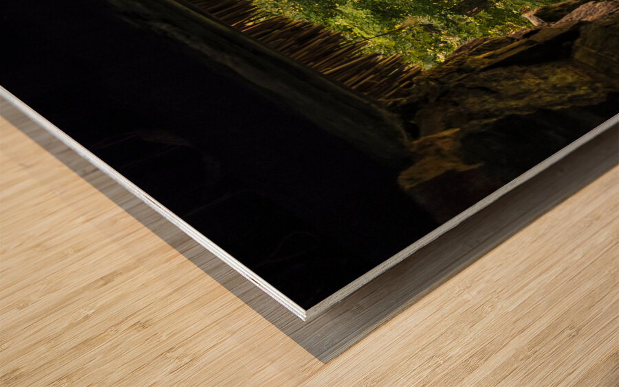 Cuban Pelican flying with blue sky Wood print