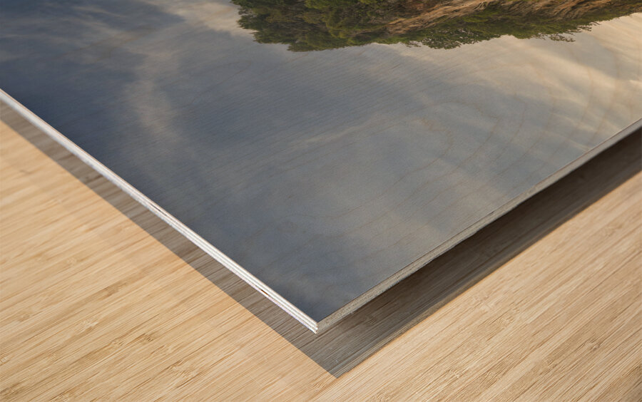 An island of Ko Phi Phi Wood print