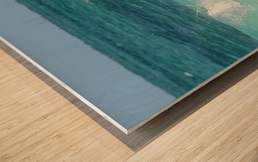 Cuban Pelican Dive 3 Wood print