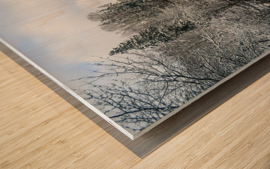 Montague river winter landscape Wood print