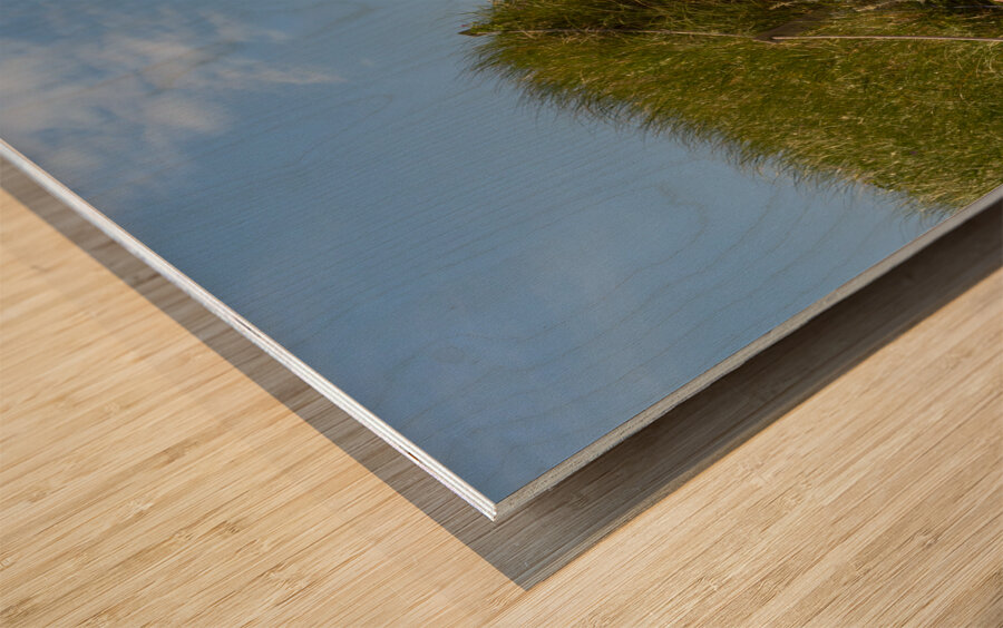 Pathway over the dunes to the beach. Wood print