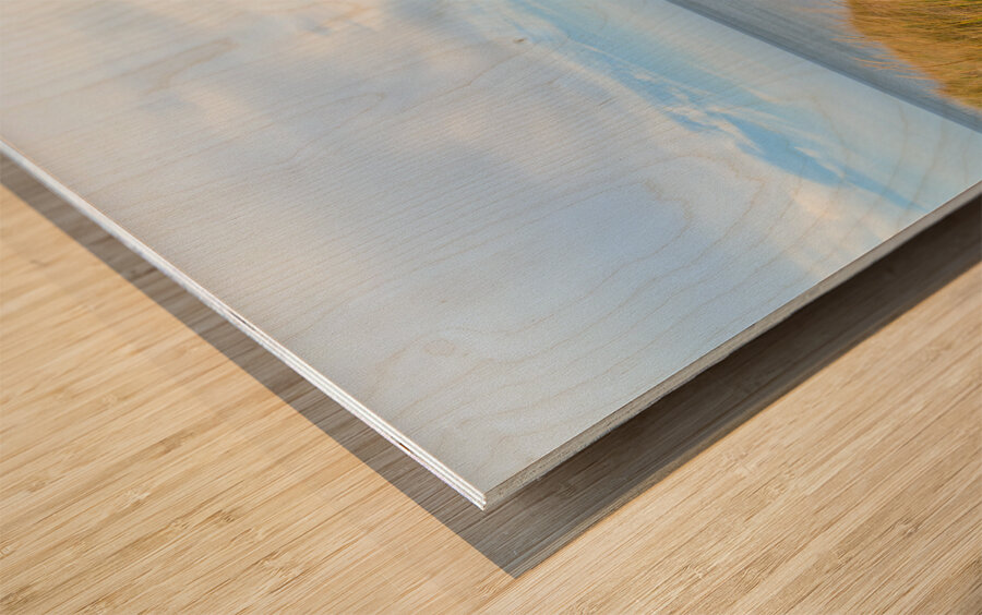 PEI sand dune beach view Wood print