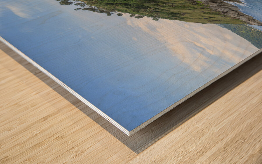 Ya-nui beach lookout point Wood print