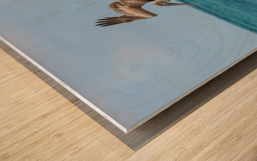 Pelican Cuban 6 Wood print