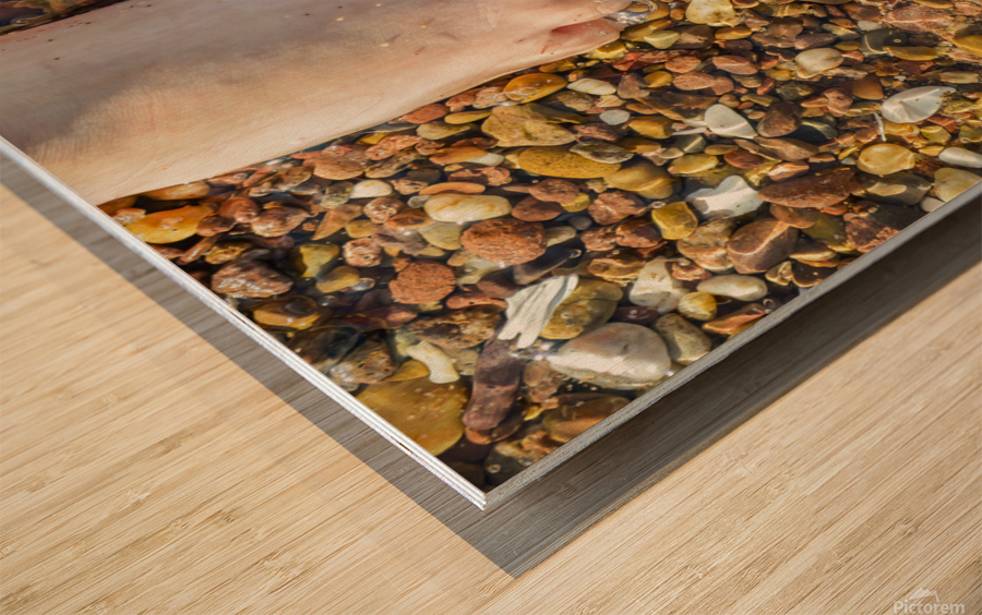 Wading toes in the ocean water Wood print