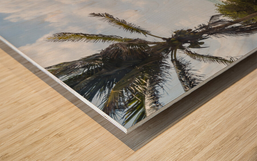 Tulum beach ocean view 3 Impression sur bois