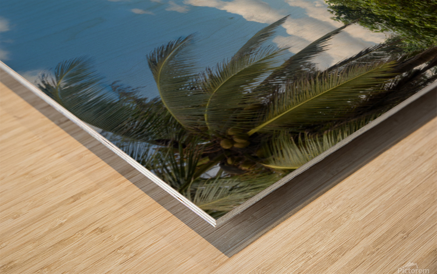 Ya-Nui beach lookout Impression sur bois