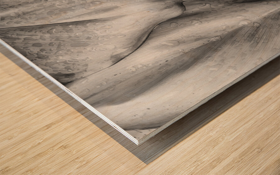 Wet Jungle Leaves closeup BW Wood print