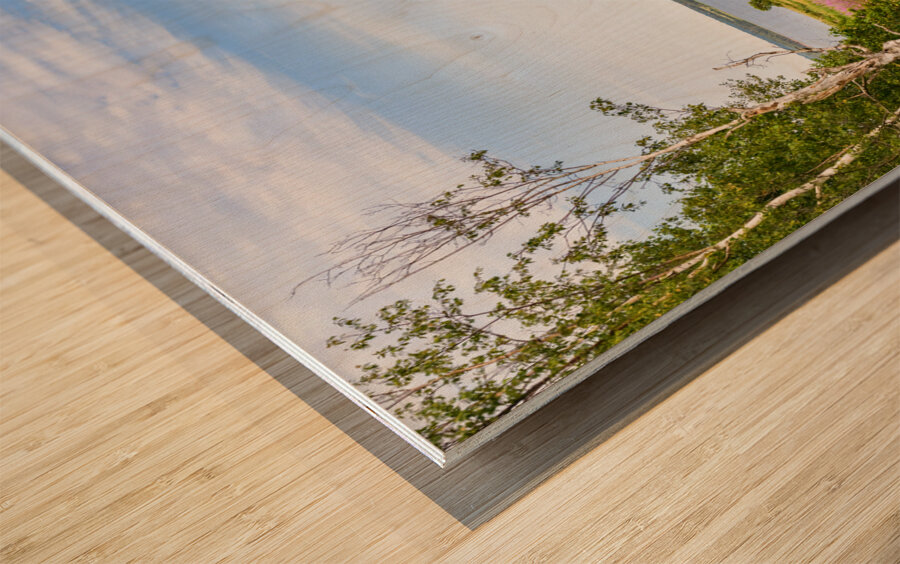 Prince Edward Island field view with ocean Wood print