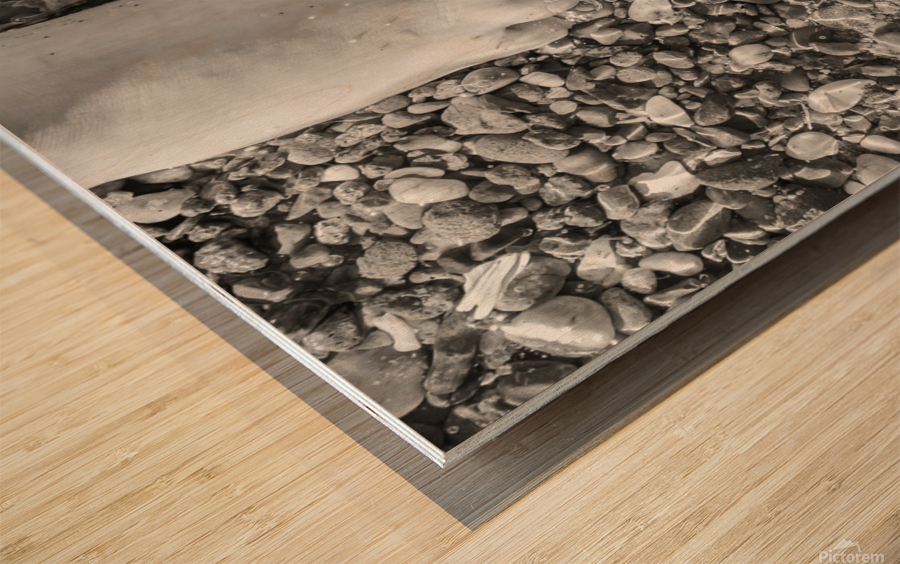 Toes in the Water BW Wood print