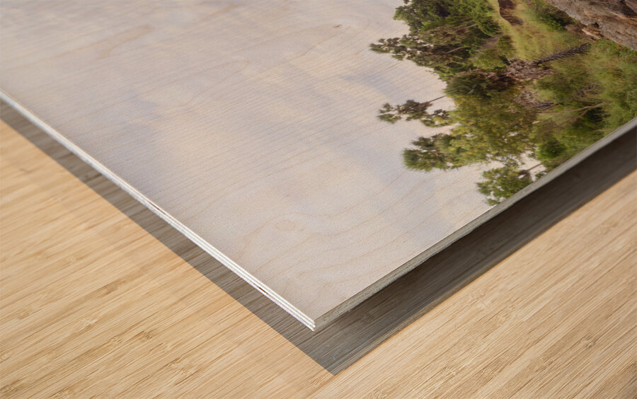 Ya-nui rock beach shore 2 Wood print