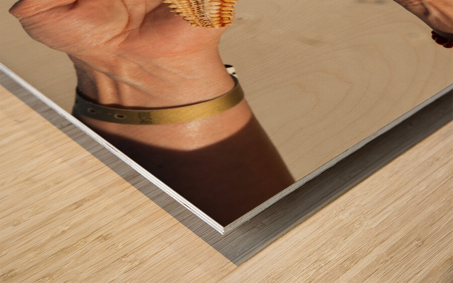 Starfish in womans hands Impression sur bois