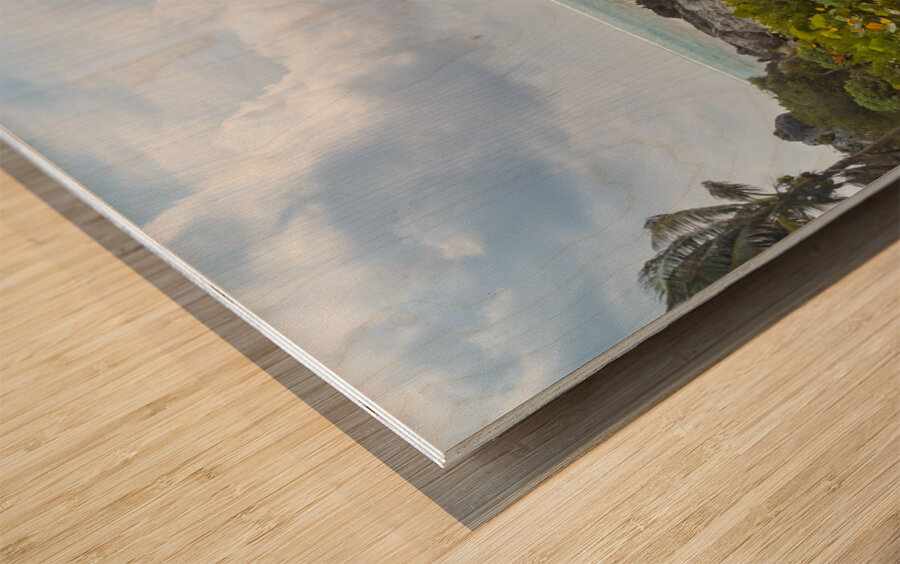 Tulum beach ocean view Wood print