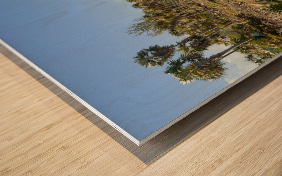 Walk on Cuban Dunes Ocean Wood print