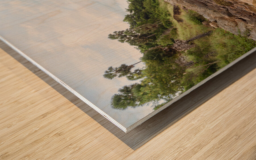 Ya-nui rock beach shore 2 Wood print