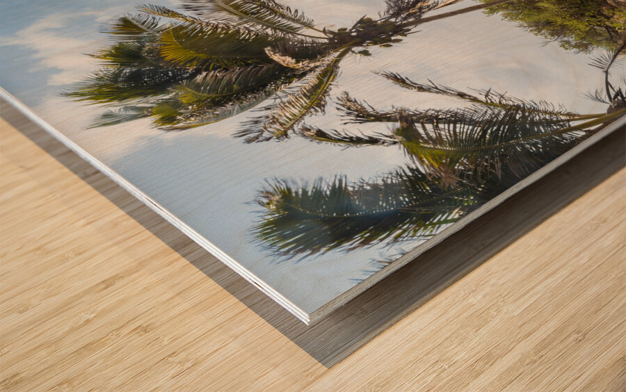 Tulum beach ocean view 4 Wood print