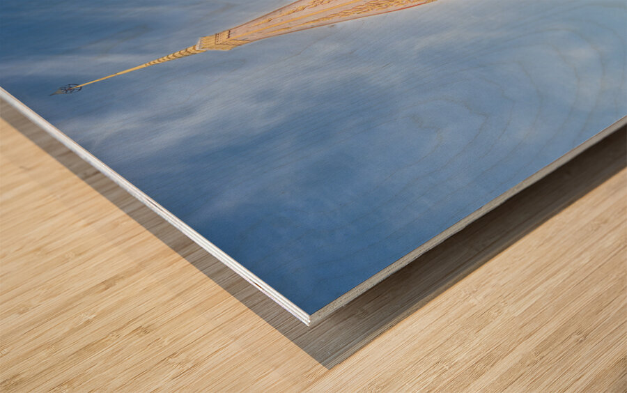 Wat Chalong temple Wood print