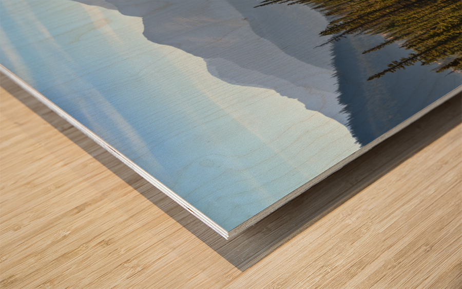 Bluerock Wildland golden tree Wood print