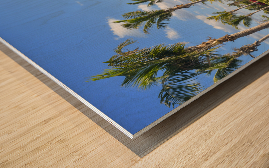 Cuban resort tropical garden Wood print