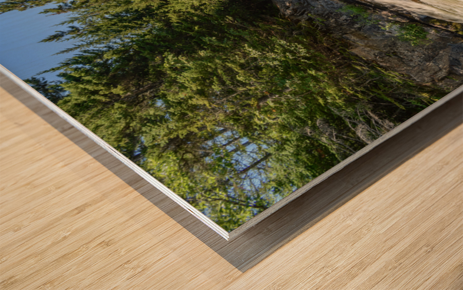 Ledge Falls Nesowadnehunk stream Wood print