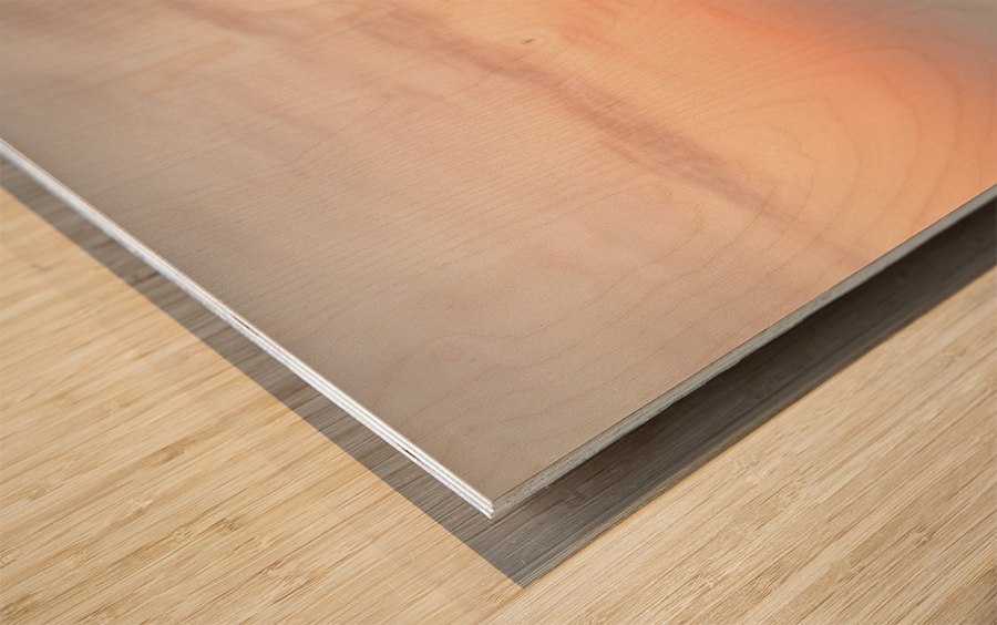 Isle De Madeleine moonrise at sunset  2 Wood print