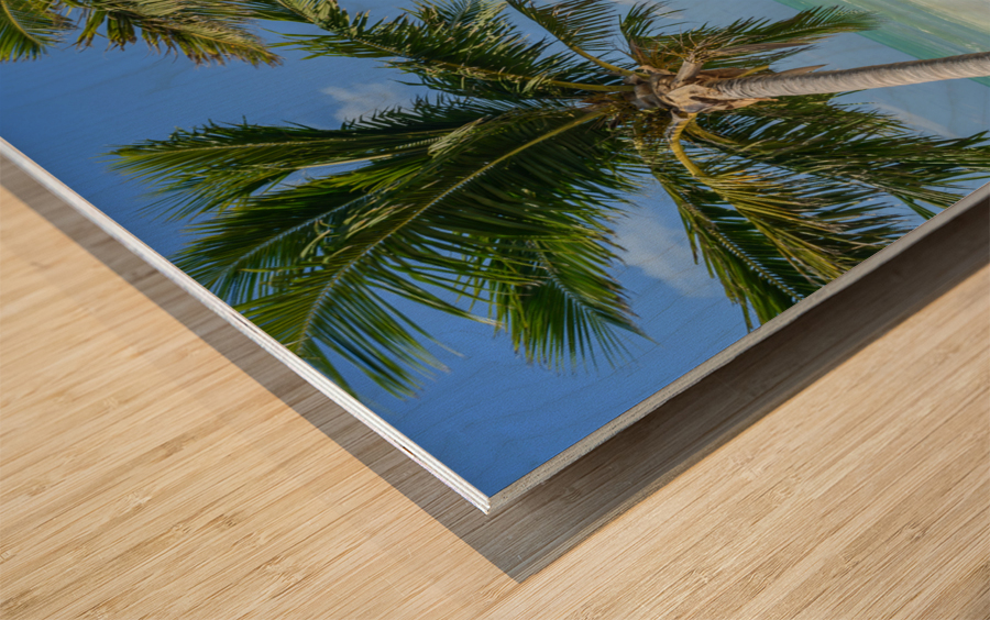 Cuban beach with 2 palmtrees Wood print