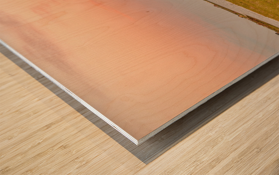 Isle De Madeleine moonrise at sunset Wood print