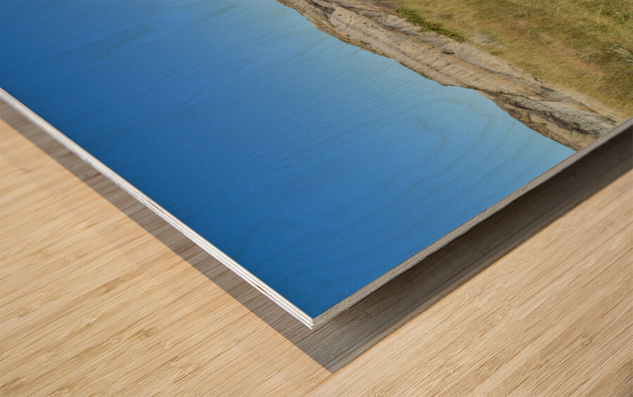 horseshoe canyon path 1540 Wood print