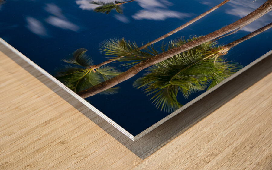 dominican beach night 3 Wood print