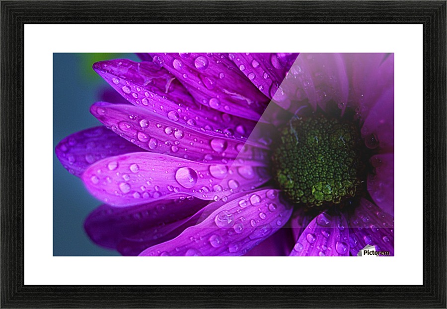 FPS-0071 Picture Frame print