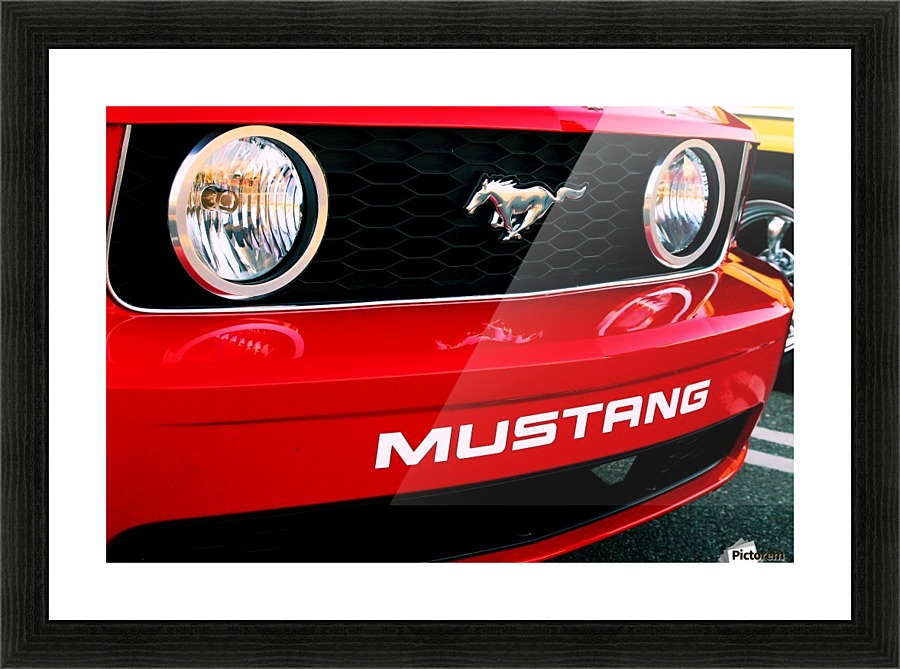 CPS-031 Picture Frame print