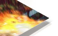 Color Flow F HD Metal print