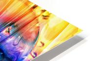 Color Me Bad HD Metal print