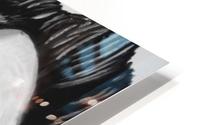 Adam Levien HD Metal print