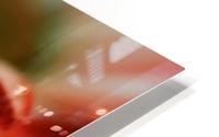 FPS-0007 HD Metal print