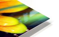 FPS-0020 HD Metal print