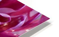 FPS-0026 HD Metal print
