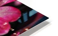 FPS-0038 HD Metal print