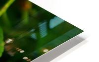 BPS-0015 HD Metal print