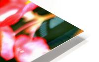 BPS-0016 HD Metal print