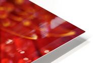 FPS-0042 HD Metal print