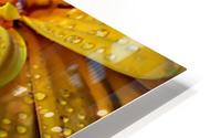 FPS-0044 HD Metal print